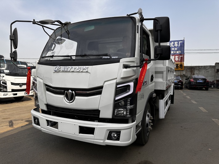 蓝牌奥驰15吨钩臂垃圾车