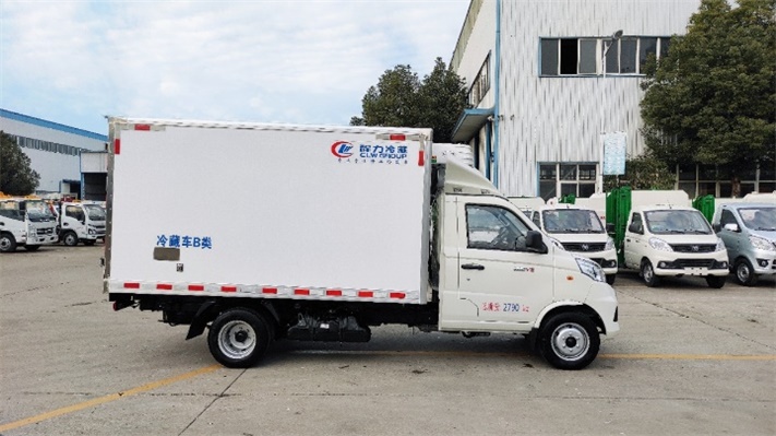 福田祥菱V2小型冷藏车（后双胎）